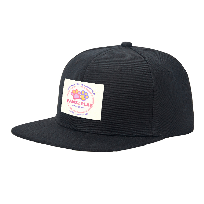 Flat Brim Baseball Cap Paws & Play Logo Print Streetwear Underground Skate Style for Basketball Court Skate Park Urban Lifestyle Skaters Rappers Streetwear Enthusiasts