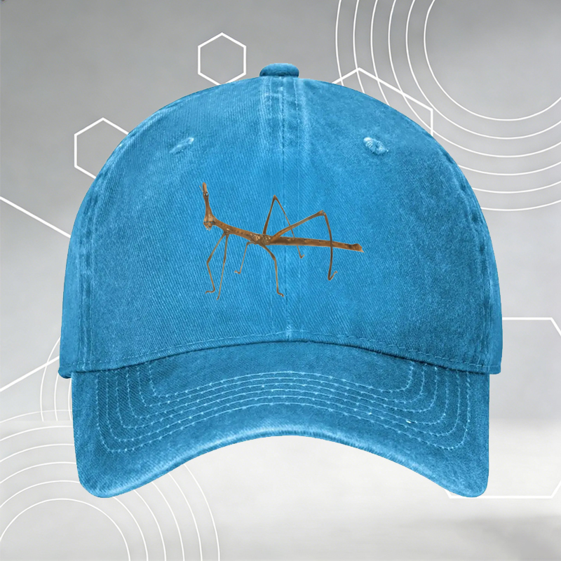 New Baseball Cap with 