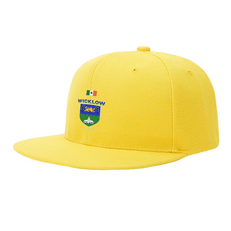Flat Brim Baseball Cap County Wicklow Crest Irish Flag Lion Church Design Streetwear Underground Skate Style for Basketball Court Skate Park Urban Lifestyle Skaters Rappers Streetwear Enthusiasts Free Spirits Edition