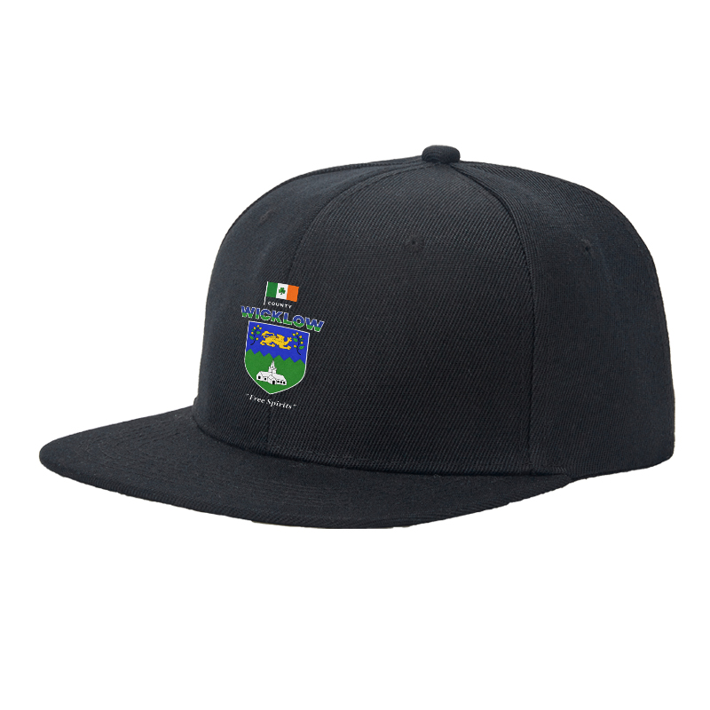 Flat Brim Baseball Cap County Wicklow Crest Irish Flag Lion Church Design Streetwear Underground Skate Style for Basketball Court Skate Park Urban Lifestyle Skaters Rappers Streetwear Enthusiasts Free Spirits Edition