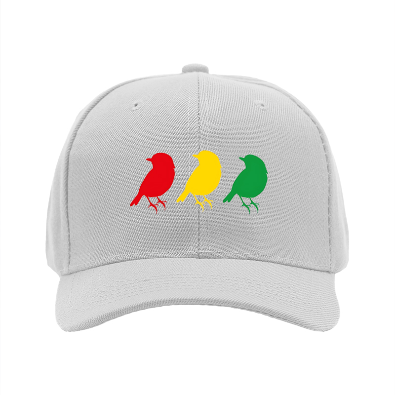 1pc New Baseball Cap with Colorful Birds Print and Text Design Unisex Adjustable Hat for Outdoor Activities and Casual Wear Suitable for Adults and Teens