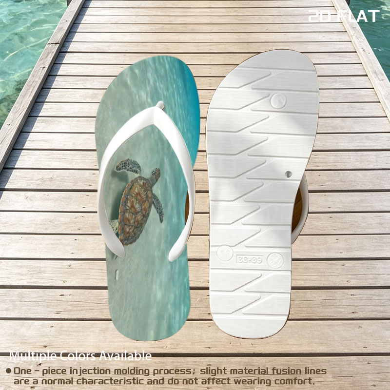 Sea turtle swimming gracefully over sandy ocean floor -  flip-flops