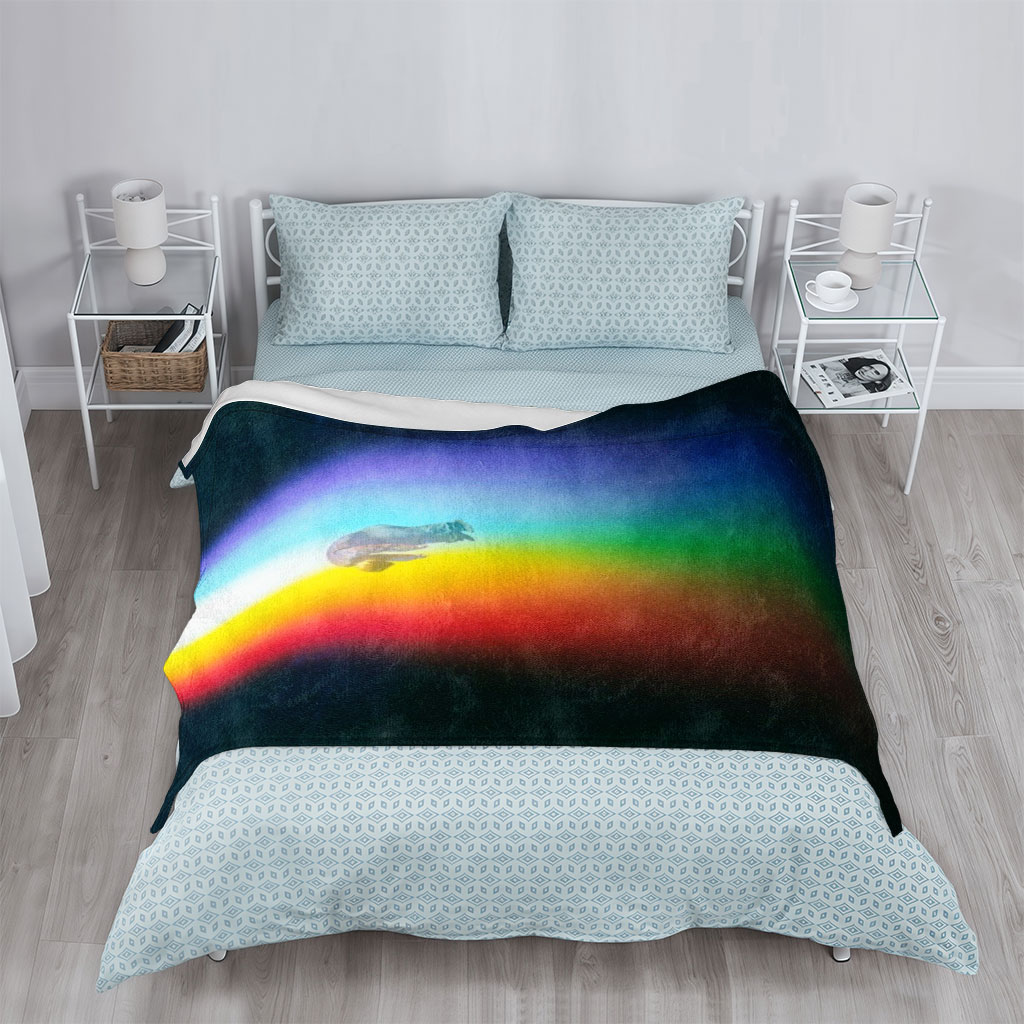 Coldplay Live Performance in a Rainbow-Lit Stage with Diver Silhouette - Blankets