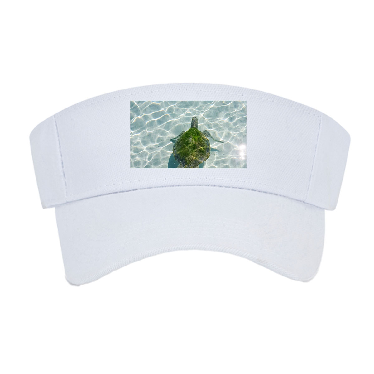 Sea turtle swimming in clear shallow water -  Visor cap
