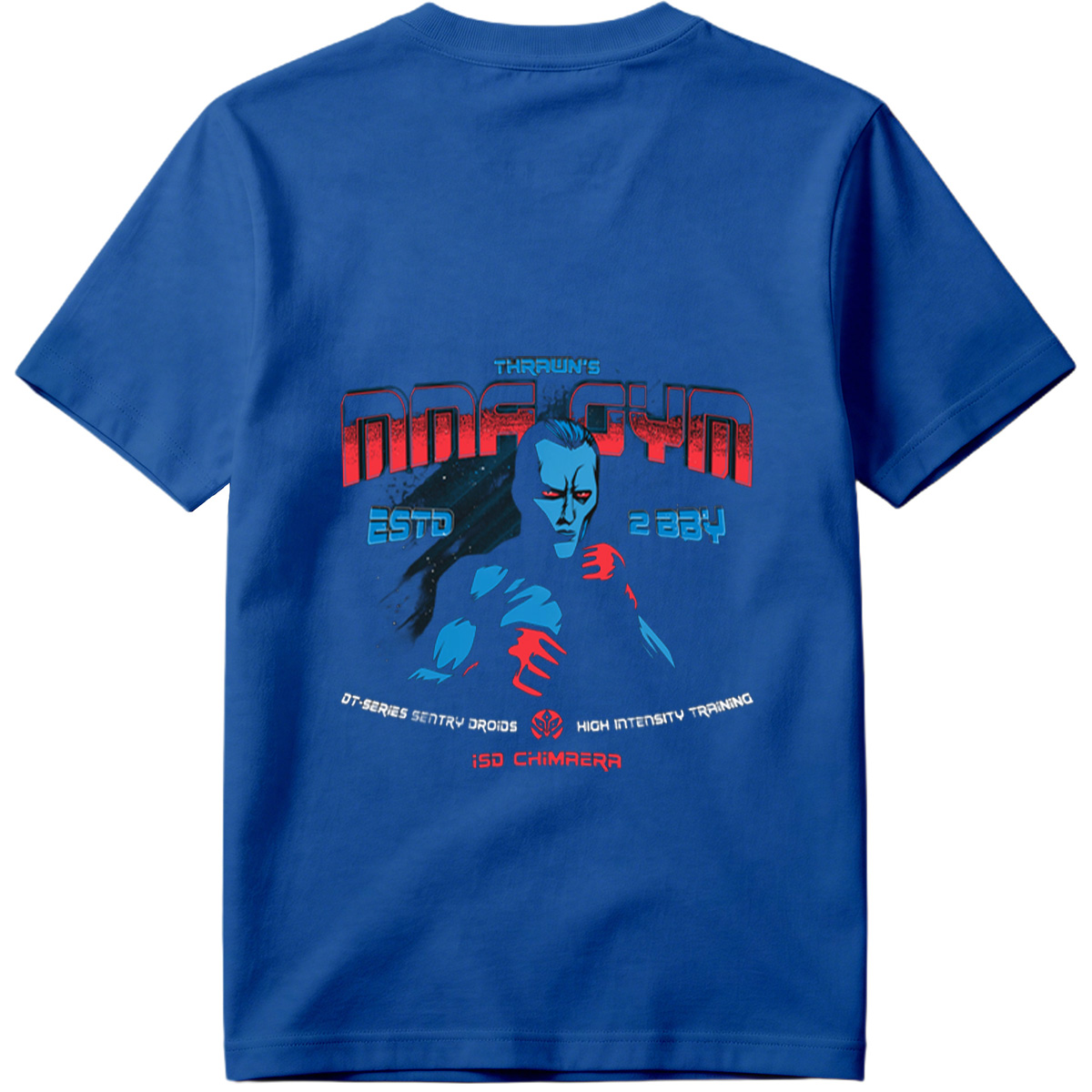 Thrawn's Dark Gym: DT-Series Sentry Droids & ISD Chimera - Tee