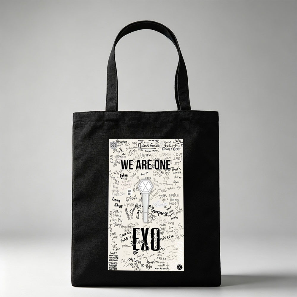 EXO Concert Scene Featuring 
