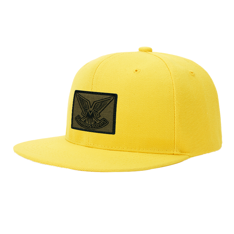 Flat Brim Baseball Cap Embroidered Eagle Patch with 
