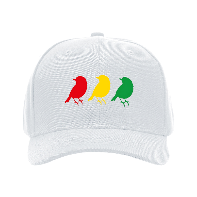 1pc New Baseball Cap with Colorful Birds Print and Text Design Unisex Adjustable Hat for Outdoor Activities and Casual Wear Suitable for Adults and Teens