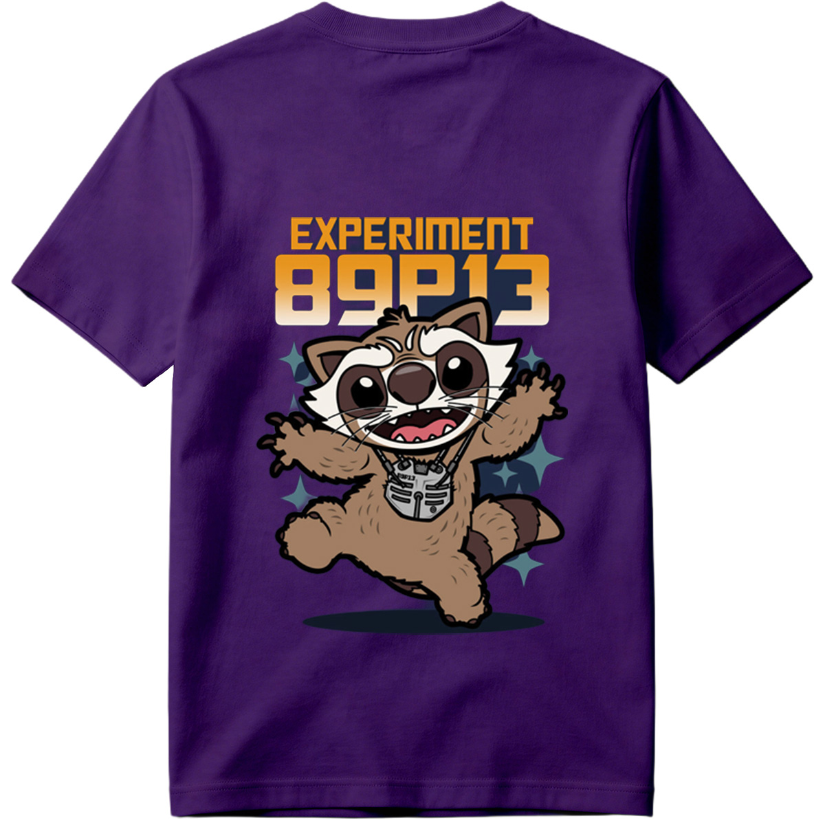 Experiment 89P13 Raccoon Character Design - Tee
