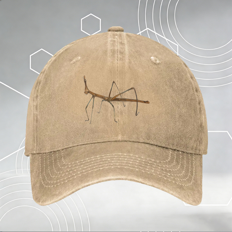 New Baseball Cap with 