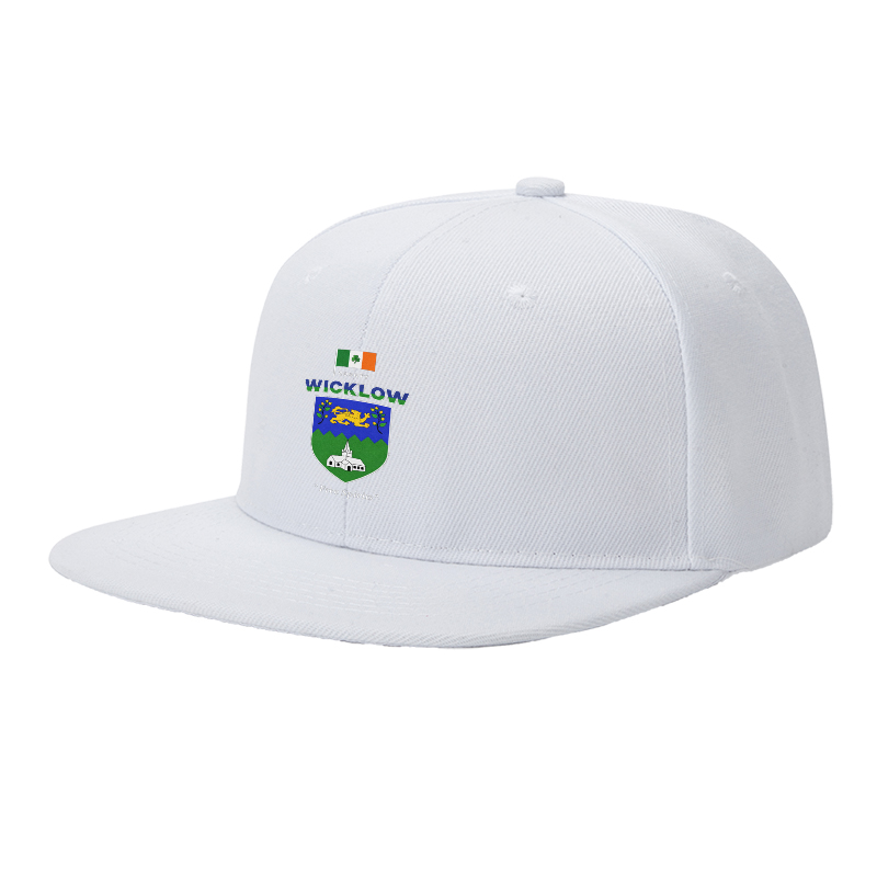 Flat Brim Baseball Cap County Wicklow Crest Irish Flag Lion Church Design Streetwear Underground Skate Style for Basketball Court Skate Park Urban Lifestyle Skaters Rappers Streetwear Enthusiasts Free Spirits Edition