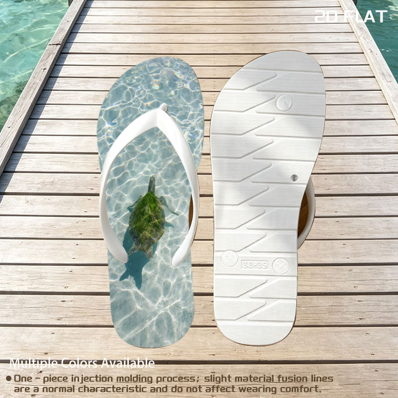 Sea turtle swimming in clear shallow water -  flip-flops
