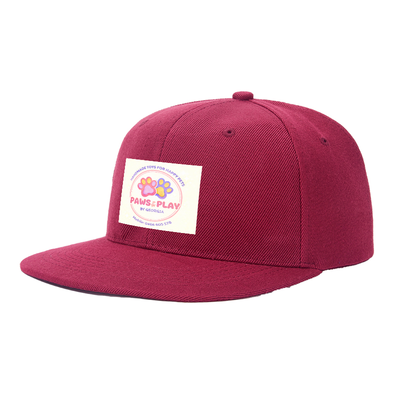 Flat Brim Baseball Cap Paws & Play Logo Print Streetwear Underground Skate Style for Basketball Court Skate Park Urban Lifestyle Skaters Rappers Streetwear Enthusiasts